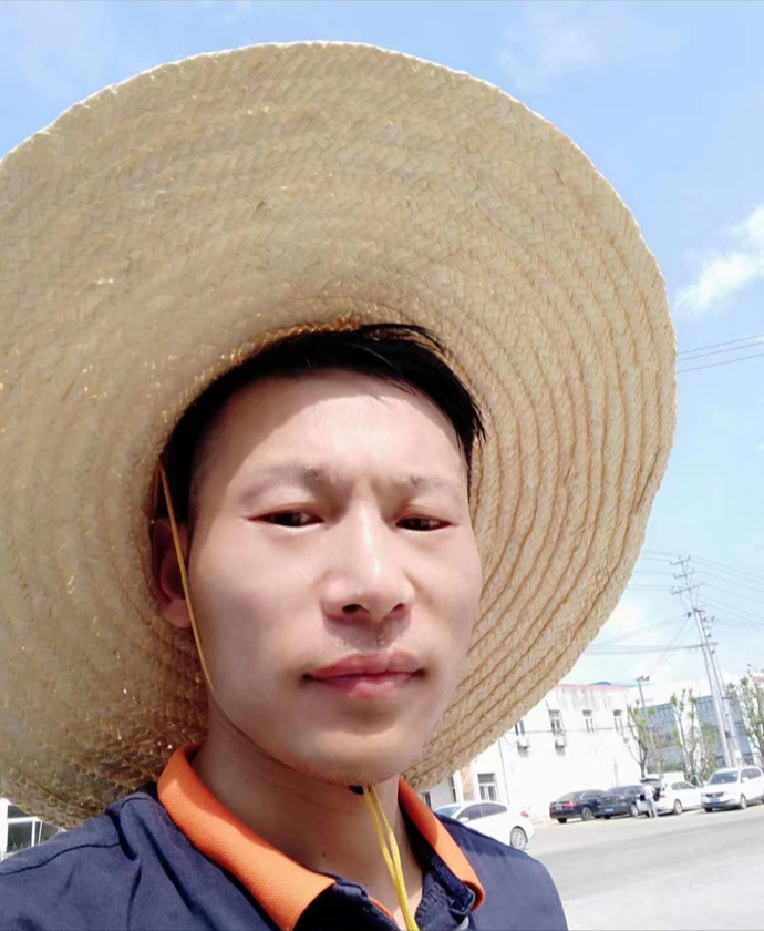 杨洋